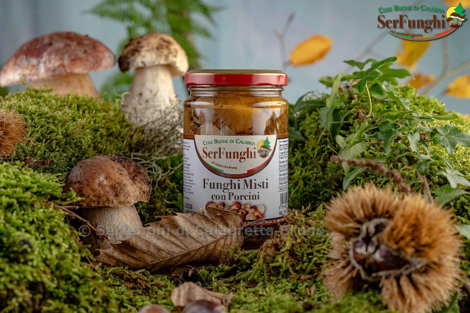 Funghi misti alla calabrese con porcini 280, 550, 950