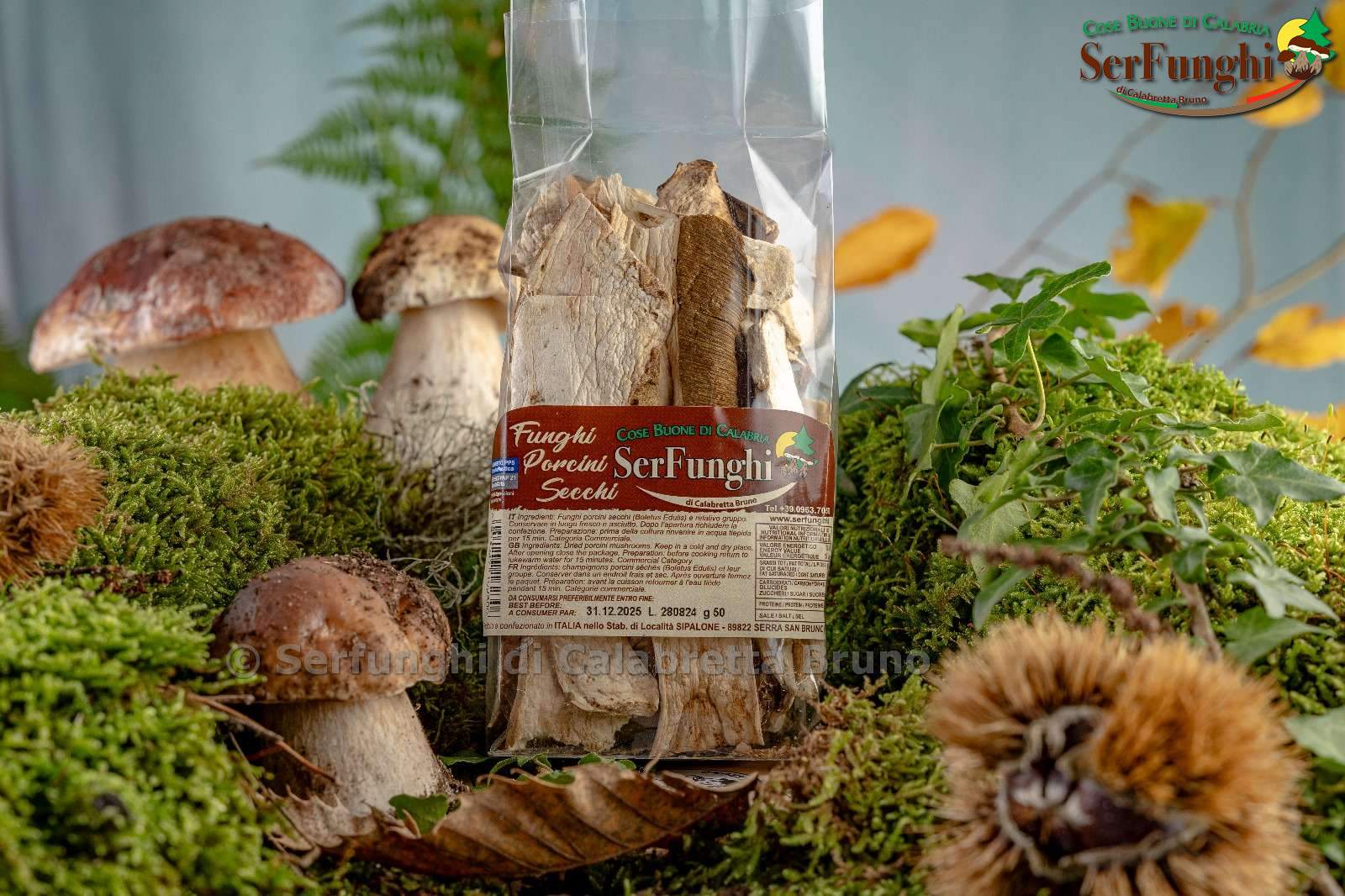 Porcini secchi 50gr